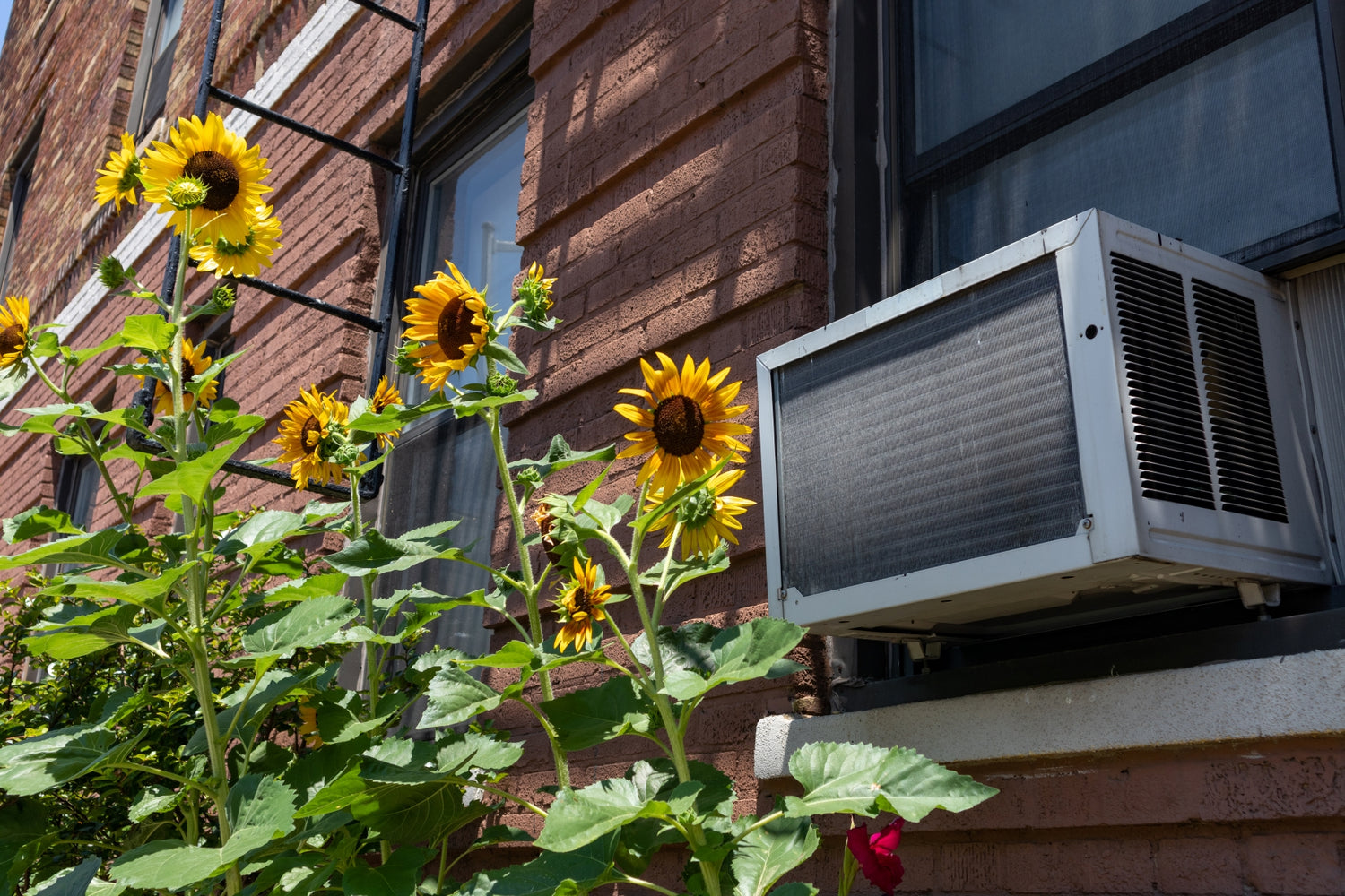 6 Air Conditioner Safety Tips for Your Home This Summer
