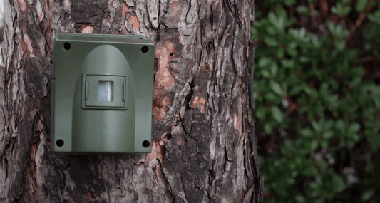 Guardline Drive Way Alarm Sensor Mounted to Tree