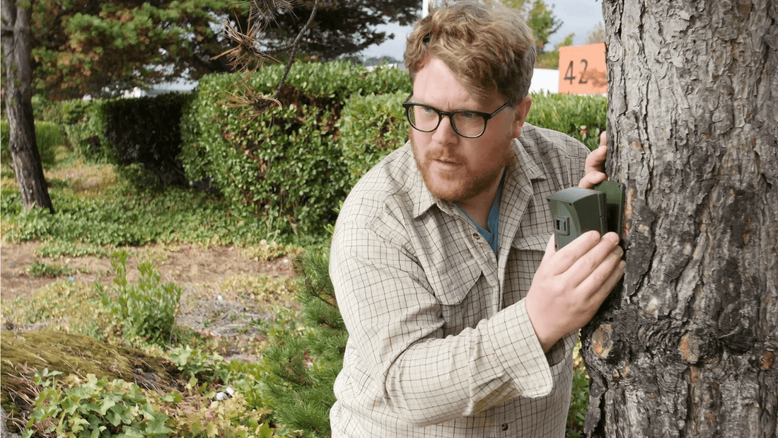 Driveway Alarm Range Issues & Intermittent Signals: Fixes & Tips