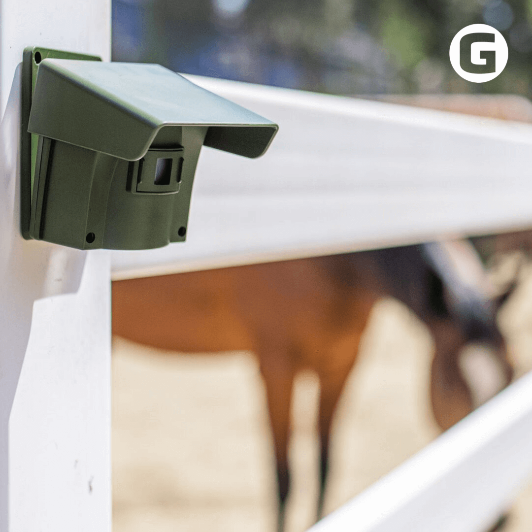 guardline motion sensor