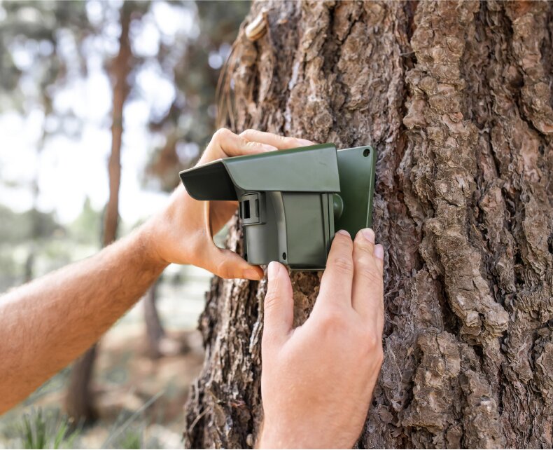 man setting up guardline wireless driveway alarm on a tree outside