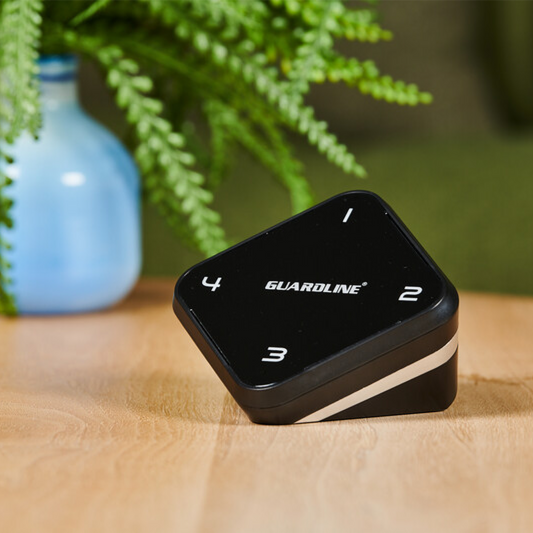 Extra Receiver for Driveway Alarm