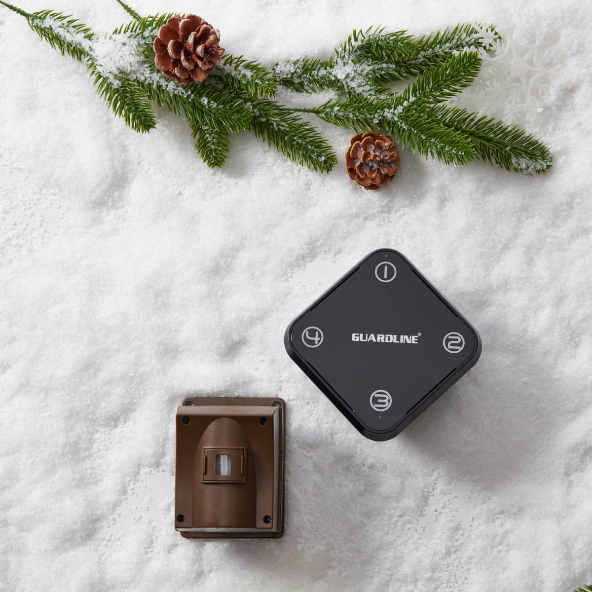 Long Range Driveway Alarm